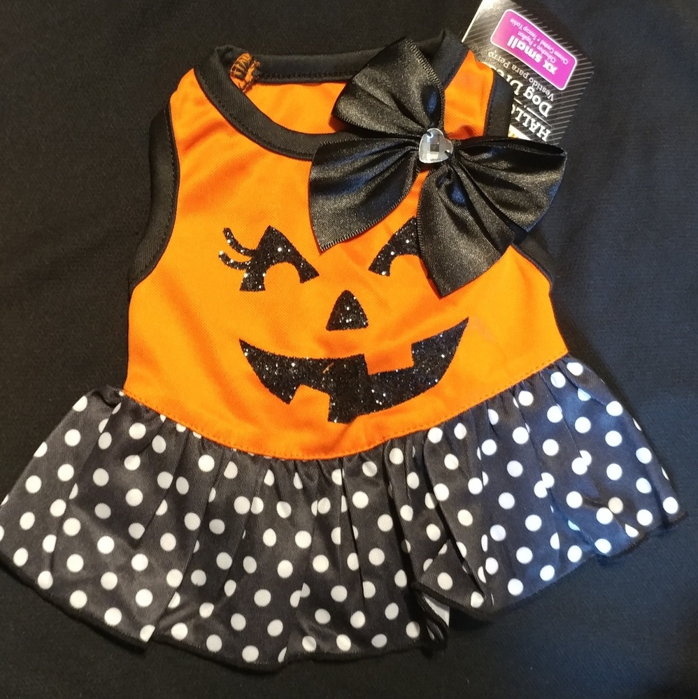 Xx Small dog dress